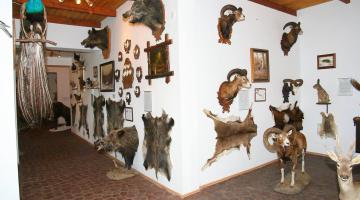 Afrikai-Magyar Magánmúzeum, Kisbágyon (thumb)